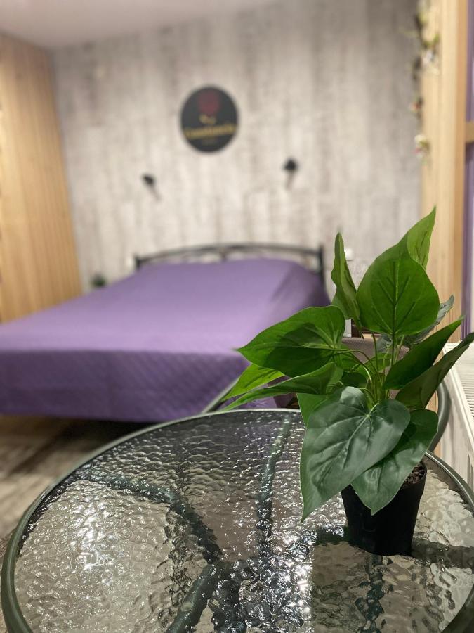 Hotel Constancia à Kamianets-Podilsky Extérieur photo